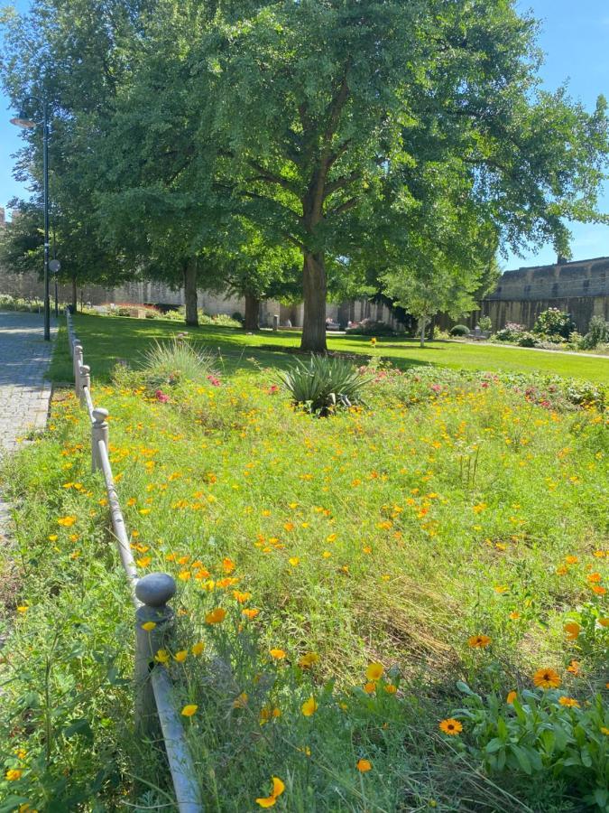 Haeuschen Am Plenzer Villa Ingelheim am Rhein Dış mekan fotoğraf