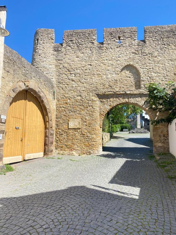 Haeuschen Am Plenzer Villa Ingelheim am Rhein Dış mekan fotoğraf