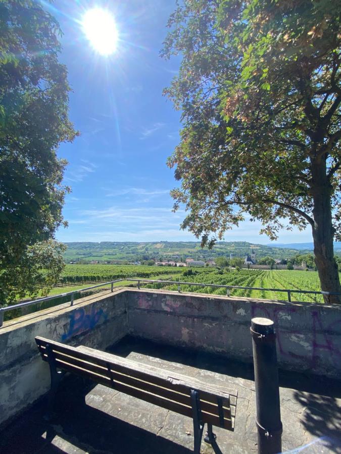 Haeuschen Am Plenzer Villa Ingelheim am Rhein Dış mekan fotoğraf
