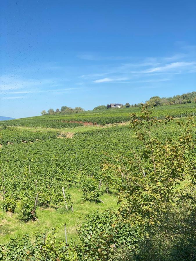 Haeuschen Am Plenzer Villa Ingelheim am Rhein Dış mekan fotoğraf