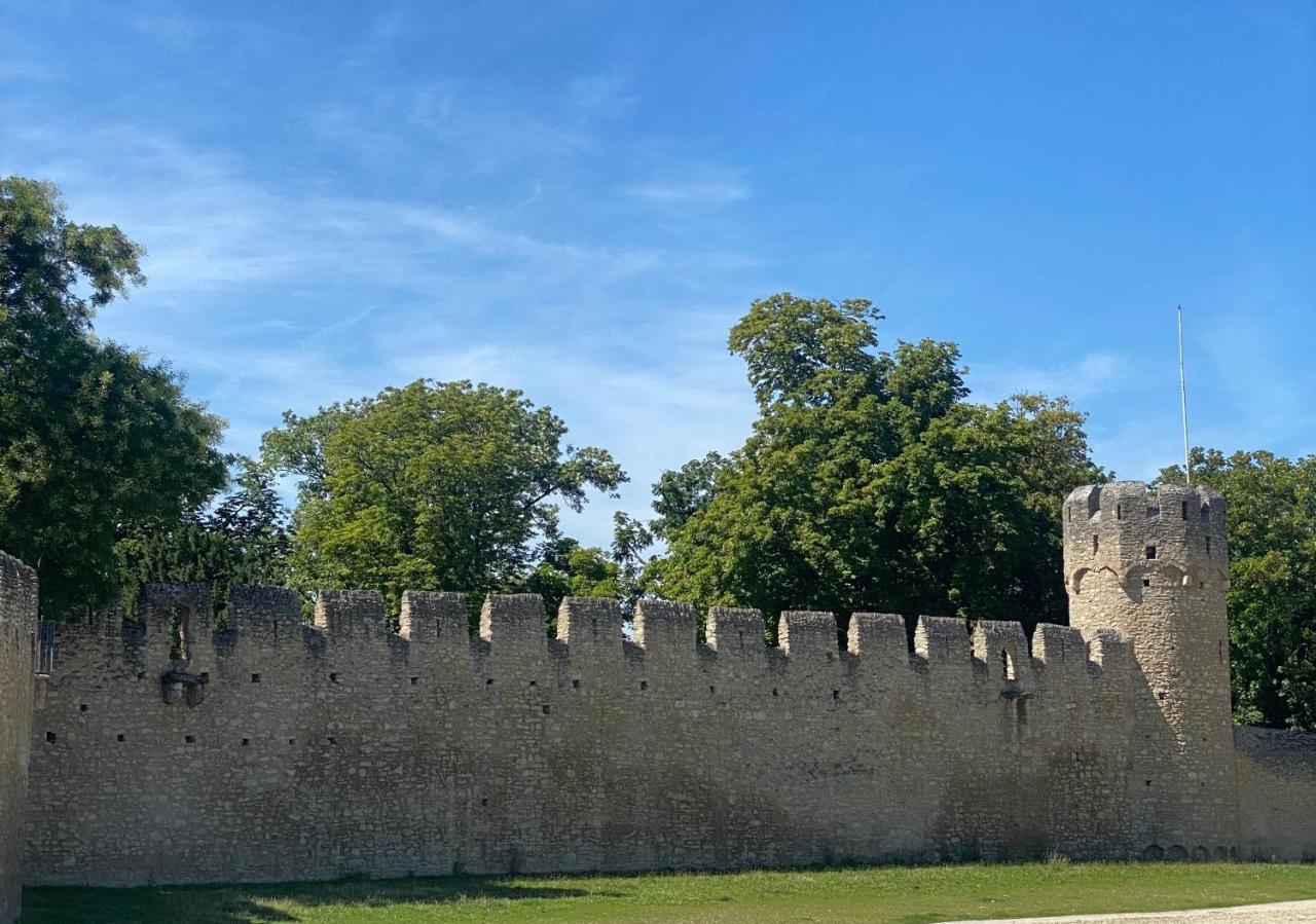 Haeuschen Am Plenzer Villa Ingelheim am Rhein Dış mekan fotoğraf