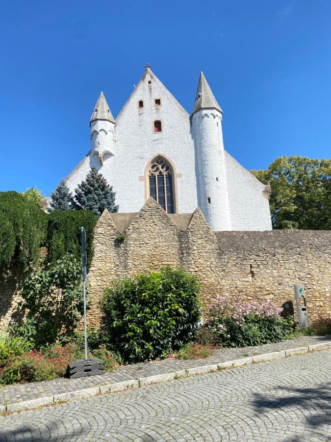 Haeuschen Am Plenzer Villa Ingelheim am Rhein Dış mekan fotoğraf