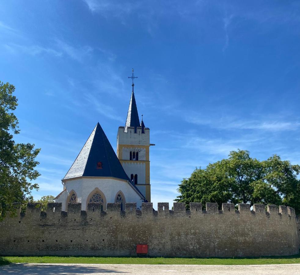 Haeuschen Am Plenzer Villa Ingelheim am Rhein Dış mekan fotoğraf