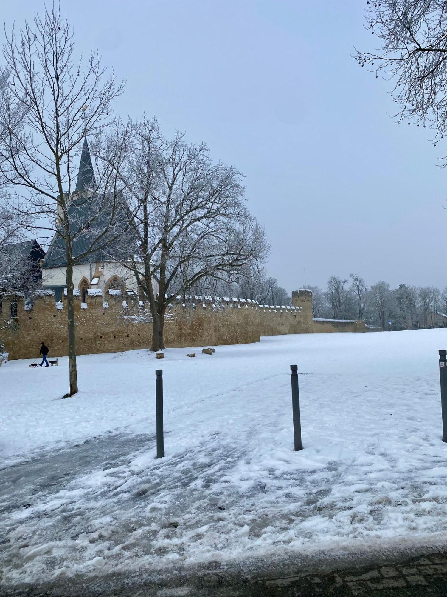 Haeuschen Am Plenzer Villa Ingelheim am Rhein Dış mekan fotoğraf