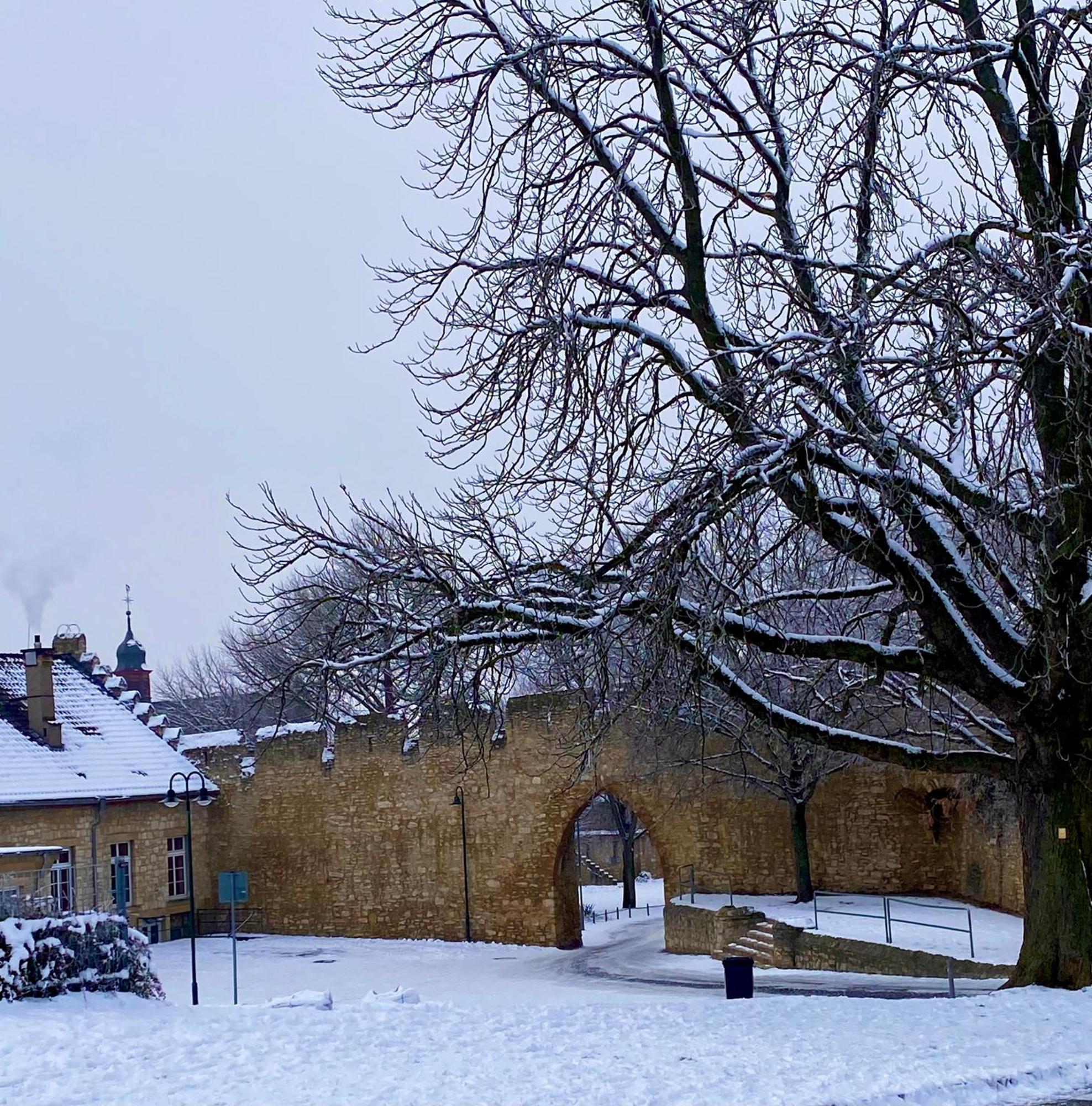 Haeuschen Am Plenzer Villa Ingelheim am Rhein Dış mekan fotoğraf