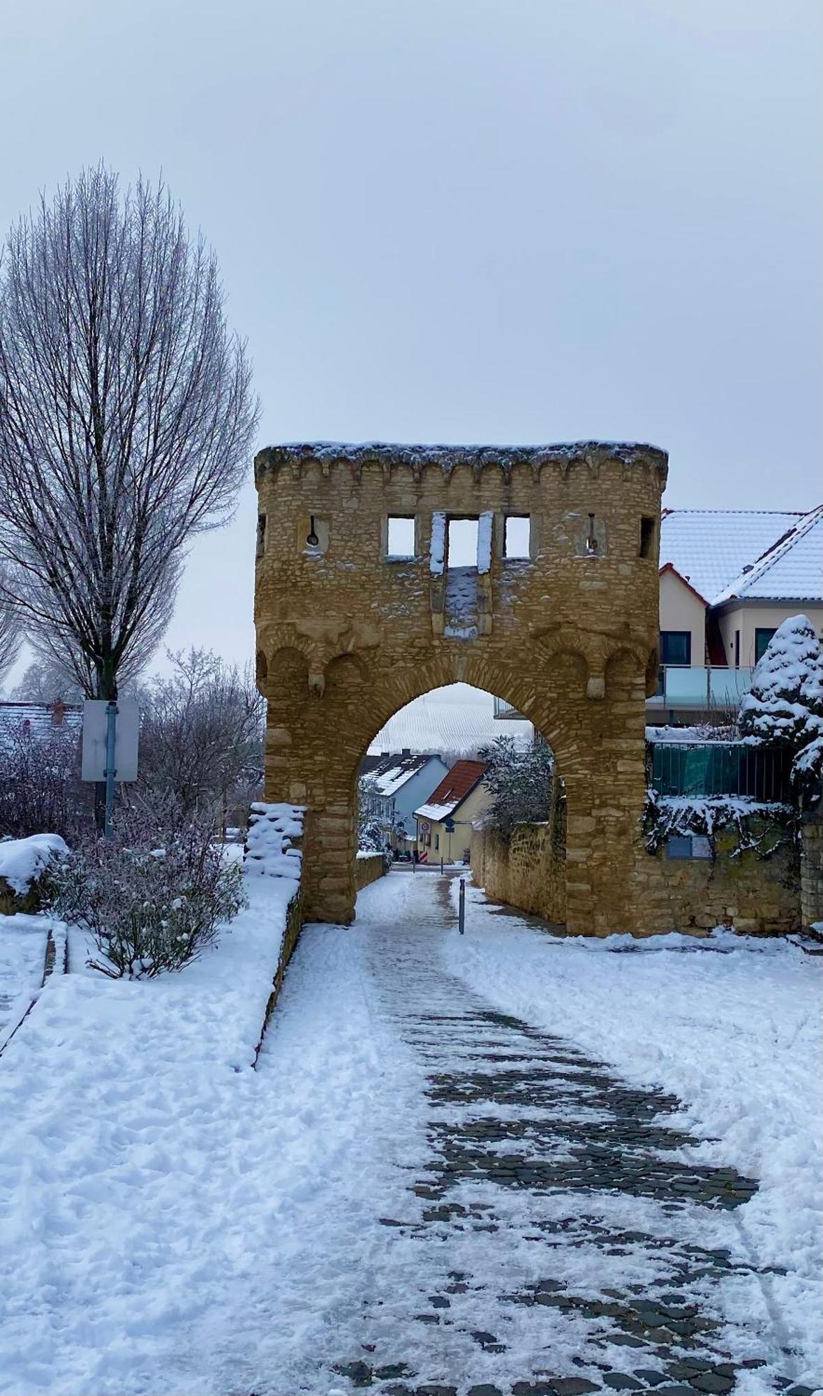 Haeuschen Am Plenzer Villa Ingelheim am Rhein Dış mekan fotoğraf